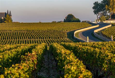 com'in médoc.